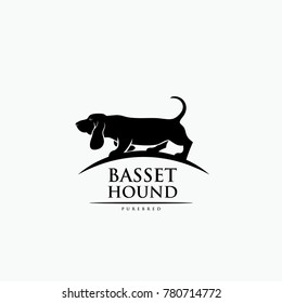 Basset hound dog - vector illustration