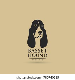 Basset Hound Dog - Vector Illustration