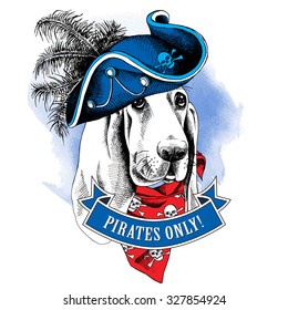 Basset Hound dog wearing a blue pirate hat and a red neckerchief with image of a skull. Vector illustration.