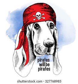 Basset Hound dog wearing a red pirate bandana with image of a skull on blue background. Vector illustration.