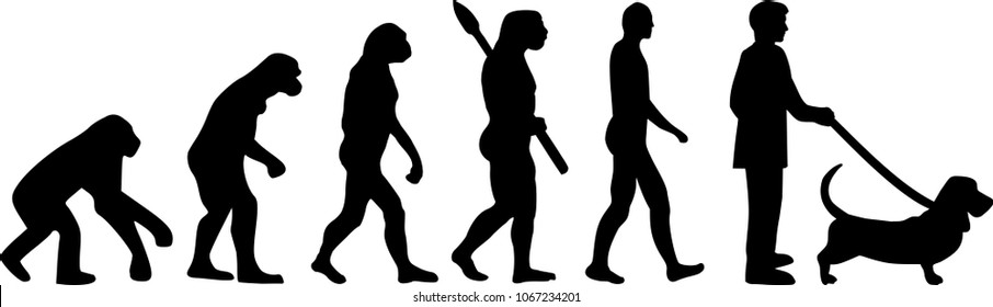 Basset hound evolution with silhouette