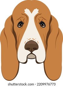 Basset Hound Face Icon. Funny Cartoon Dog