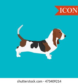 Basset hound french breed colorful hand drawn illustration