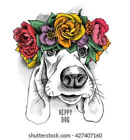 Basset Hound hippie Portrait in a floral head wreath. Vector illustration.