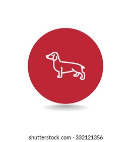 Basset Hound icon