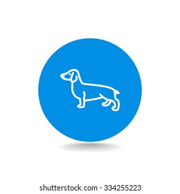 Basset Hound icon