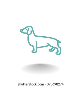 Basset Hound icon