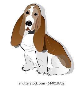 Basset hound isolated drawing on white background., vector EPS 10