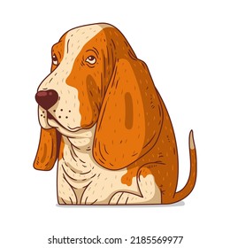 A Basset Hound, isolated vector illustration. Cute cartoon picture for children of a kind calm dog. Drawn dog sticker. Simple drawing of calm genial Basset on white background. A pet. A puppy