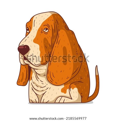 A Basset Hound, isolated vector illustration. Cute cartoon picture for children of a kind calm dog. Drawn dog sticker. Simple drawing of calm genial Basset on white background. A pet. A puppy