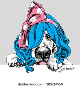 Basset Hound portrait in a blue female Wig with pink headband. Vector illustration.