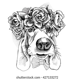 Basset Hound Portrait in a floral head wreath. Vector illustration.