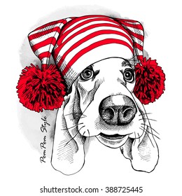 Basset Hound portrait in a red Hat with pom-pom. Vector illustration.