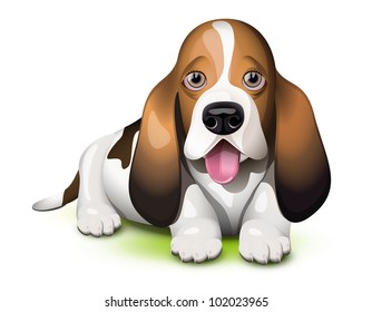 Basset Hound puppy sticking his tongue out