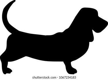 Basset hound silhouette real in black