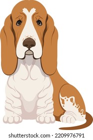 Basset Hound Sitting. Funny Dog Breed Icon