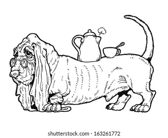 Basset Hound with a tea kettle and a cup on the his back. From a series of images of funny dogs.