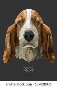 Basset hound - vector illustration