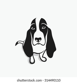 Basset hound - vector illustration
