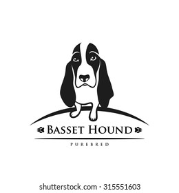 Basset hound - vector illustration
