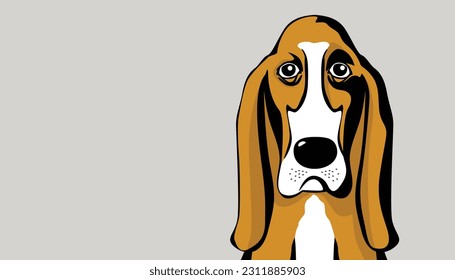 Basset Hound. Vector illustration of a dog's face. 