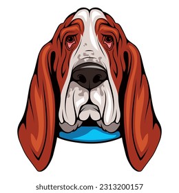 Basset hound. Vector illustration of a pet animal. Lazy dog