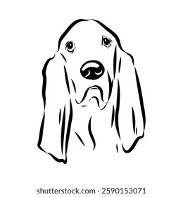 Basset hound, vector sketch Basset Hound dog breed animal vector line art one line sketch outline