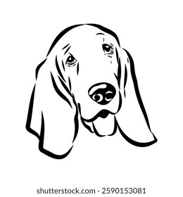 Basset hound, vector sketch Basset Hound dog breed animal vector line art one line sketch outline