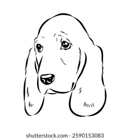 Basset hound, vector sketch Basset Hound dog breed animal vector line art one line sketch outline