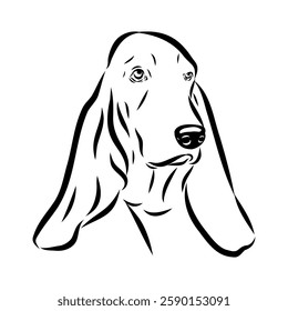 Basset hound, vector sketch Basset Hound dog breed animal vector line art one line sketch outline