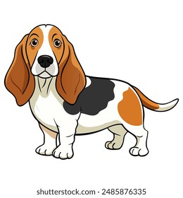 Basset Artésien Normand Dog breed vector illustration isolated on white background in cartoon style.