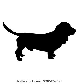 Basset silhouette. Dog breeds. Vector