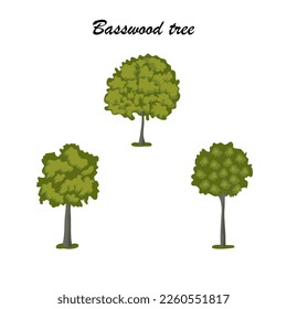 Basswood tree icon set, flat style vector