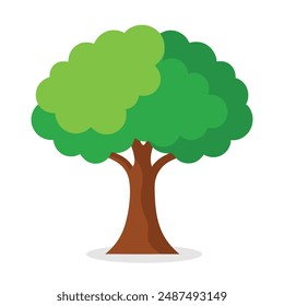 Basswood tree, Tilia americana tree Nature flat vector illustration on white background