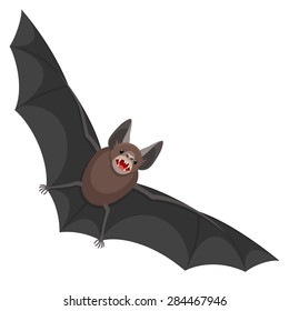 Bat