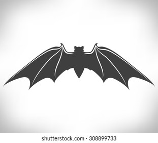 bat