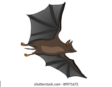 Bat