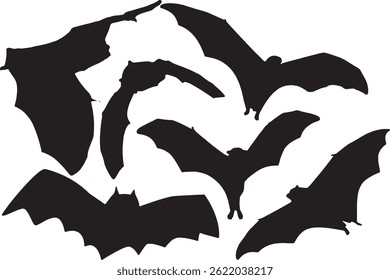 Bat Animal Chordata Silhouette Vector Illustration Stock Vector