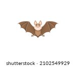 Bat animal vector isolated icon. Emoji illustration. Bat vector emoticon