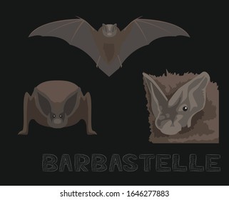 Bat Barbastelle Character Cartoon Illustration