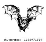 Bat, big-eared bat. Highly detailed vector hand drawn illustration.