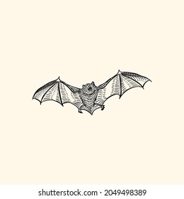 Bat black line art engraving illustration