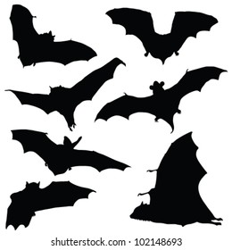 bat black silhouette illustration on white background