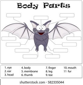 Bat body parts. Animal anatomy in English. Write the correct numbers of body parts