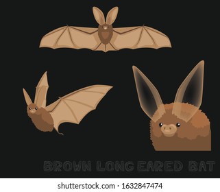 Bat Brown Long Eared Cute Cartoon Illustration