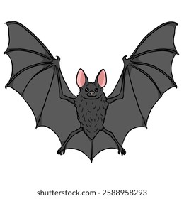 Bat cartoon, vector illustration, bat icon isolated on white background.