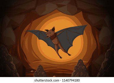 Bat in a cave  illustration
