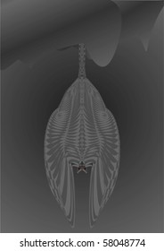 Bat in a cave on a black background.