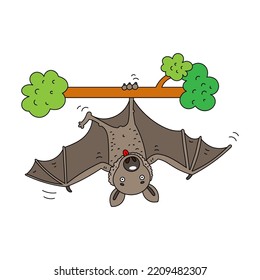 Bat color vector illustration isolated white background