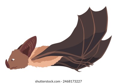 Bat. Concept cartoon bat. Vector clipart illustration isolated on white background